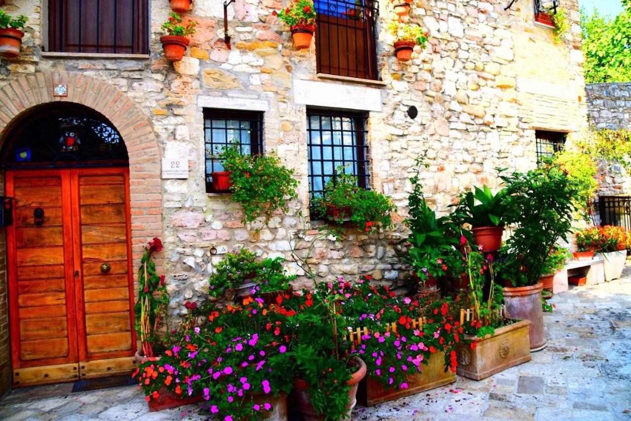 Apartments Aurora Delle Rose Assise Extérieur photo